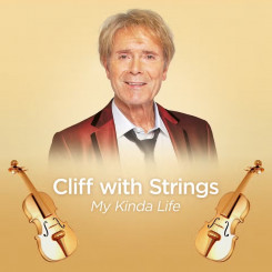 cliff-with-strings